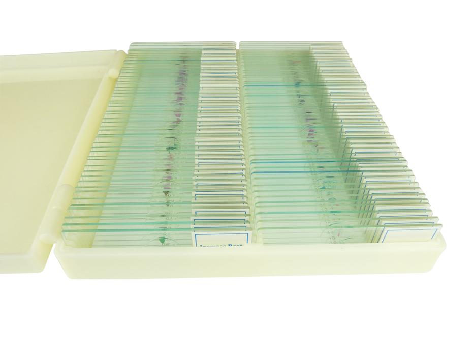 Microscope Prepared Slides Sets — Microscopes.com.au