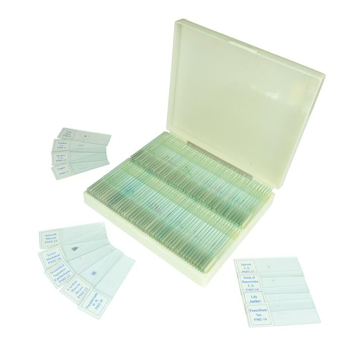 Microscope Prepared Slides Sets — Microscopes.com.au