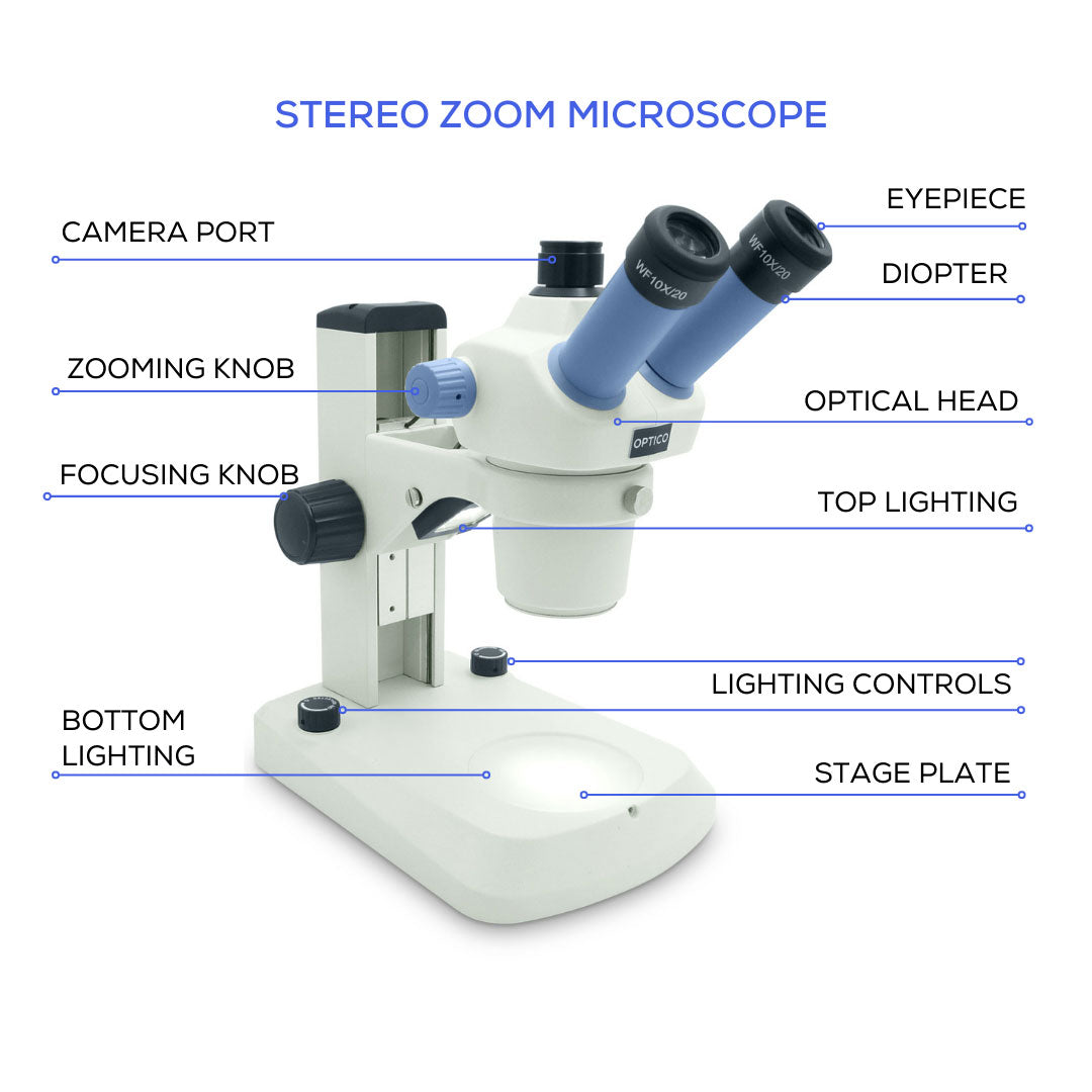 stereo microscope zoom magnification field of view comparison