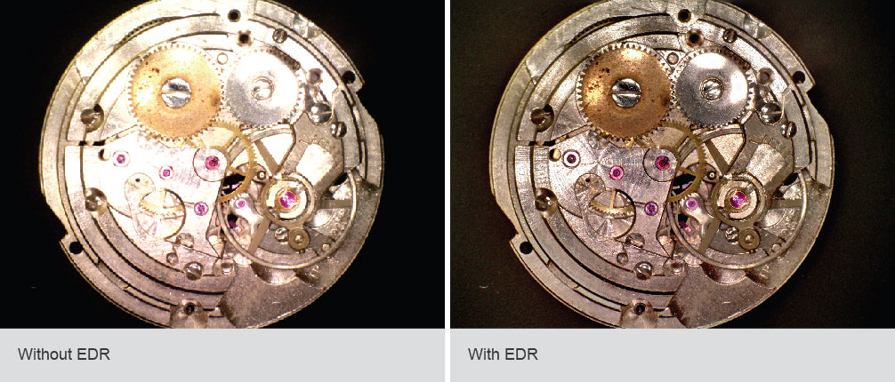 Dino-Lite AM7915MZTL